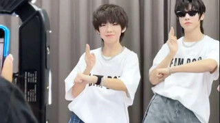 又是一只努力跳舞的崽崽！