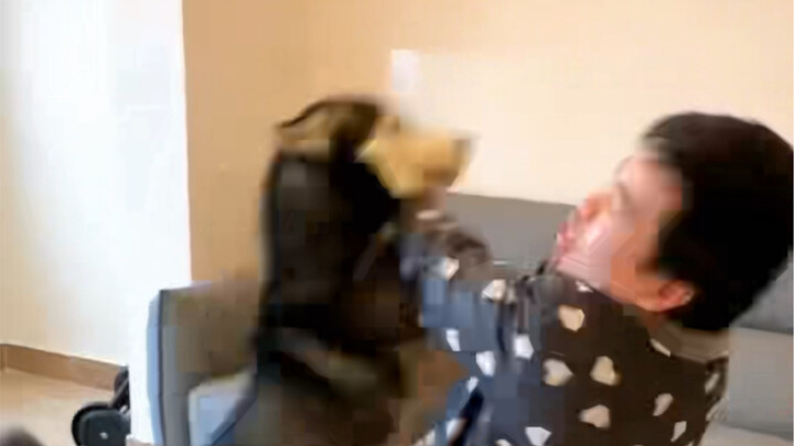 Husky: I fucked you