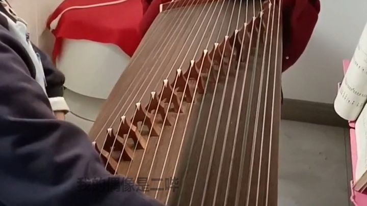 武林盟主的母亲！