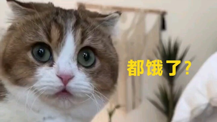 ทุกคนหิวกันแล้วใช่ไหม!!!