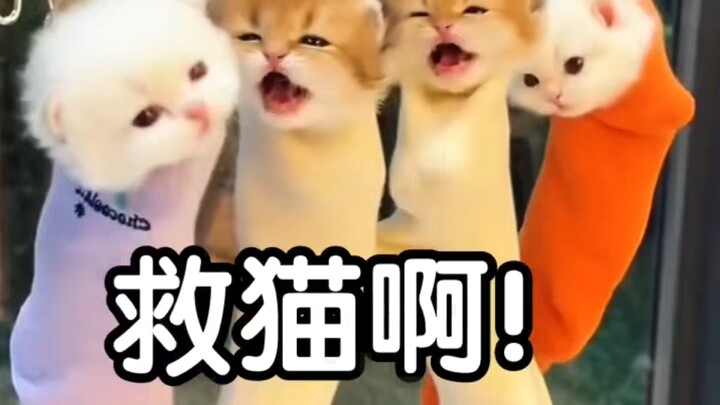 【ks Milk Cat Isn’t a Loser】New release is live—come check it out!