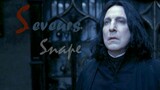 【Harry Potter/Snape】Am I The Only One Who Think He's Handsome?