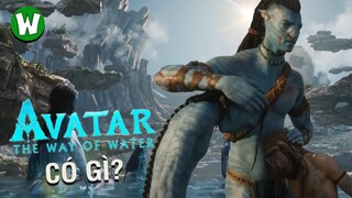 Giải Mã Teaser Trailer Avatar: The Way of Water | Dòng Chảy Của Nước