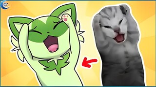 猫meme,但它们是宝可梦