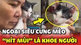 Bà ngoại SIÊU CƯNG MÈO phải HÍT MÙI MÈO mới thấy khỏe người 😍 | Yêu Lu