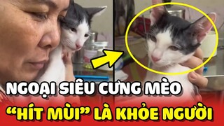 Bà ngoại SIÊU CƯNG MÈO phải HÍT MÙI MÈO mới thấy khỏe người 😍 | Yêu Lu