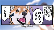 Ngày Tận Thế Với Chú Chó Shiba Của Tôi EP 54 [Sub Việt]