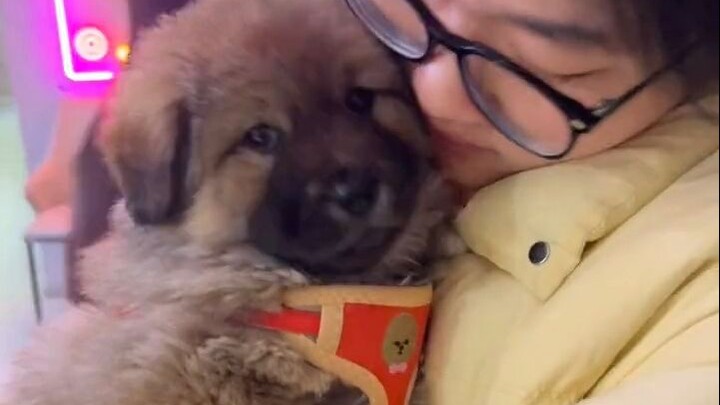 Grandpa brought me a little dog.