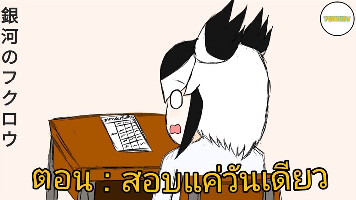 銀河のフクロウ Shorts ตอน : สอบวันเดียว [ Animation By Tennisy ] OFFICIAL
