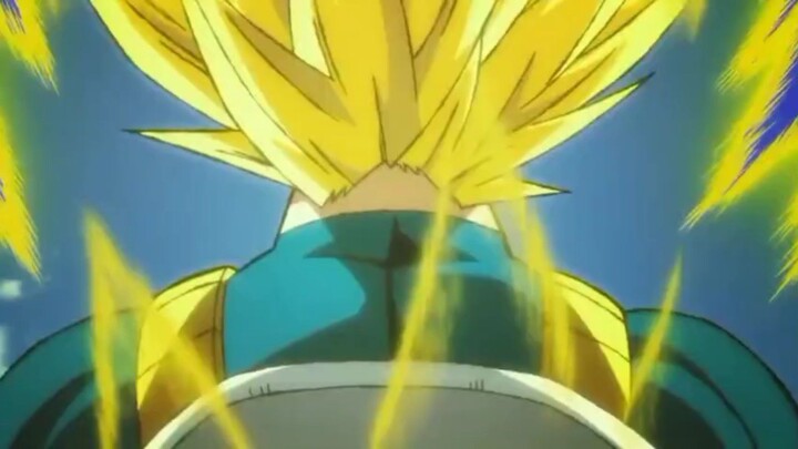 vegeta herb