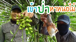 เข้าป่าหาหน่อ ทำกับข้าว มาชมกันครับ  🍃🎋🎍