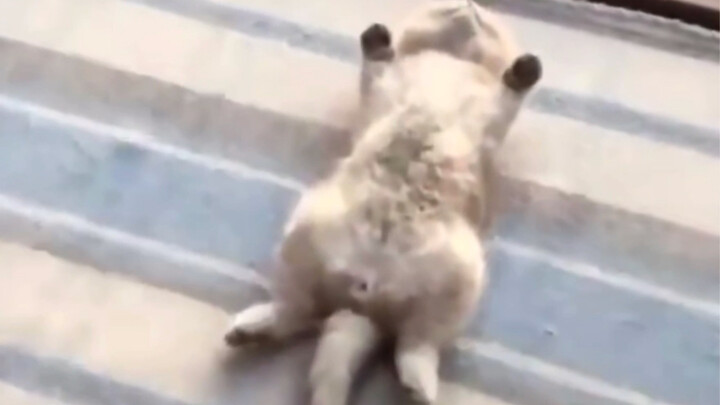 Don't wake me up on weekends, Mom.