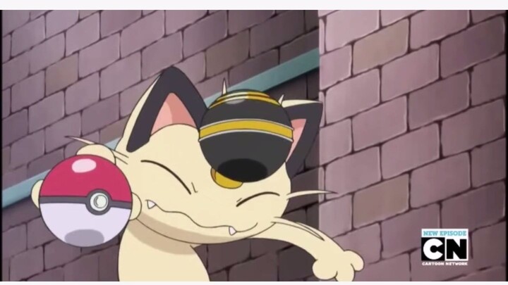 The day pikachu almost caught meowth