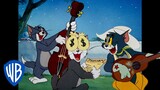 Tom & Jerry | Top 10 Tom Cat Moments 🐱 | Classic Cartoon Compilation | @wbkids​