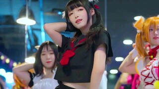 绝！粉红猫 pink cat