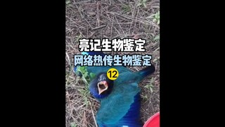 【Liangji Bio-Identification】Recently popular bio-identification on the Internet 12