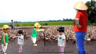 Vịt Đẻ Chạy Đồng Nhiều Như Kiến Cỏ l Bé Xem Vịt Đẻ l Nhạc Thiếu Nhi Remix Hay Nhất