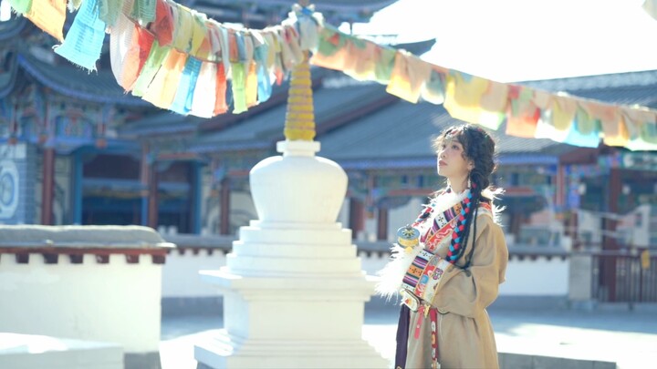 我可以赠你一只格桑花