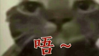 唔~