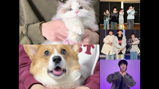 登陆少年亲友团们，危险的爱手势舞合集