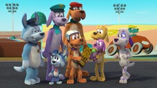 Vai, Cachorro. Vai! 4° Temporada Episódio 14: Cão-Gathlon