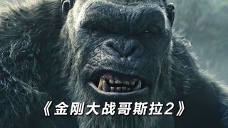 整体战绩下来哪个你喜欢金刚还是哥斯拉