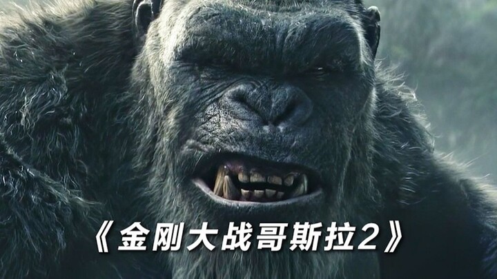 整体战绩下来哪个你喜欢金刚还是哥斯拉