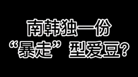 【เซเวนทีน】คงหาไอดอลแบบนี้ไม่ได้อีกแล้วในเกาหลีใต้ทั้งประเทศ