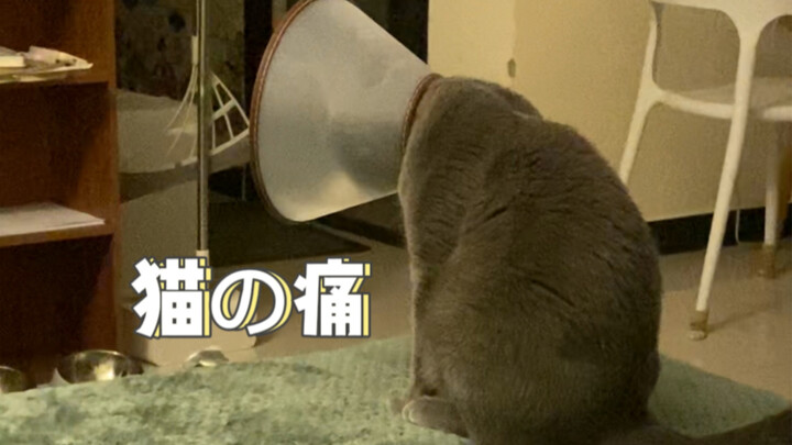 世界上又多了一个绝望的灵魂