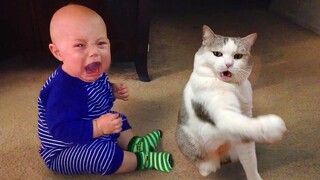 Best Funny Dogs And Cats Video 🐱🐶 Funniest Animals 2022