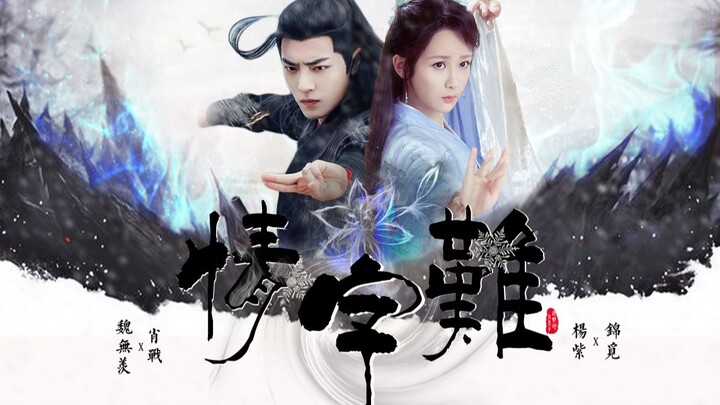 【Yang Zi