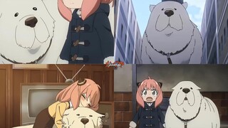 Sugoi🥰