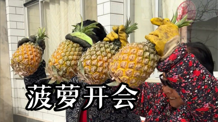 When you discover pineapples growing in the field...