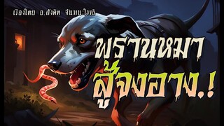 พรานหมาสู้จงอาง.! (ตอนเดียวจบ)
