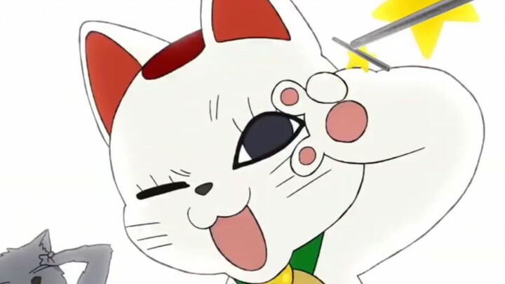 ⚡胆大党⚡永远是钢管有多好⚡TAIDADA⚡