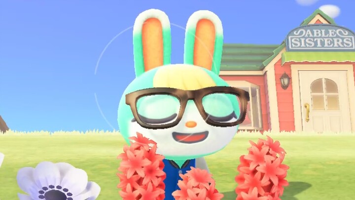 Game|Animal Crossing|Do you Like my Flowers?