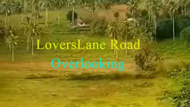LOVERSLANE ROAD OVERVIEW OF AURORA ZAMBOANGA DEL SUR