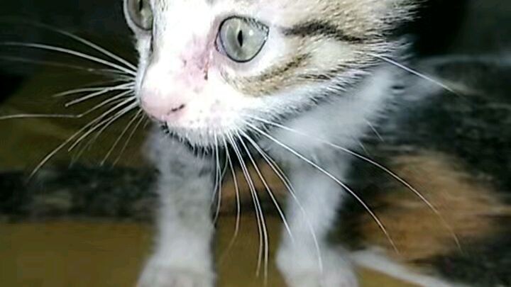 Rertasd ceryr jeru mohr are 😆😆😆😆