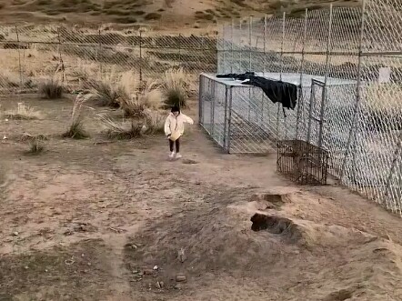 Even the wolf king fears the tiger.