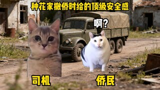 种花家撤侨时给的顶级安全感