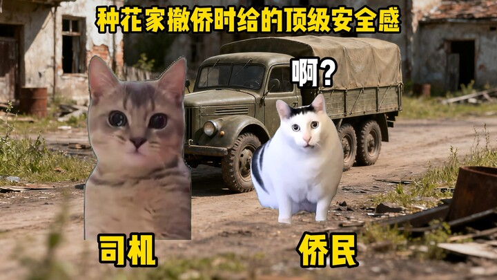 种花家撤侨时给的顶级安全感
