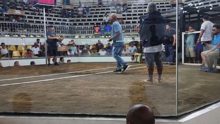 Loss my 1x winner boston sweater