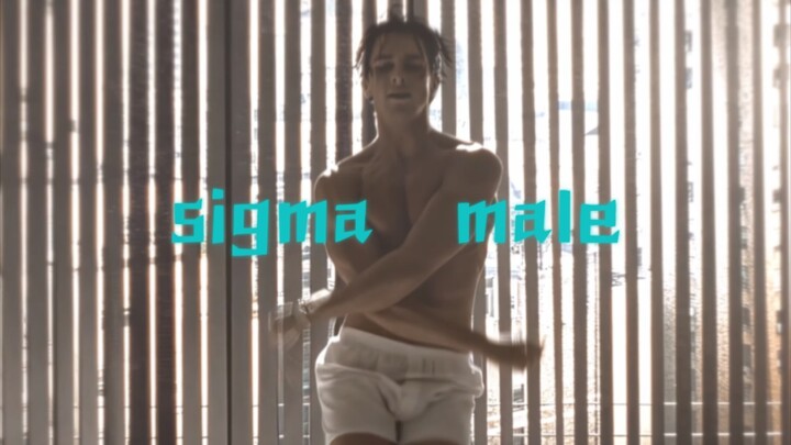 "西格玛男人永远清醒"
