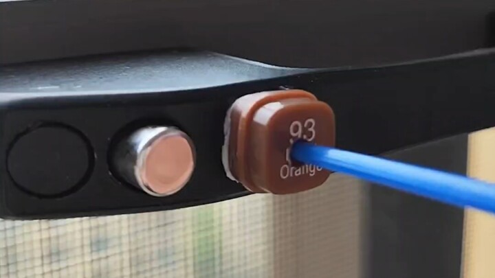 养猫人都是发明家吗？