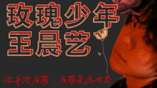 〖二创王晨艺编舞〗〖玫瑰少年〗生而为人，愿你自由！