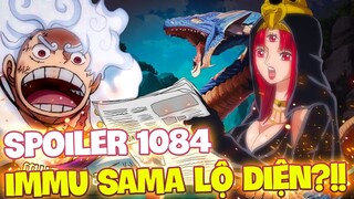 SPOILER 1084 OP | IMMU SAMA LỘ DIỆN?!