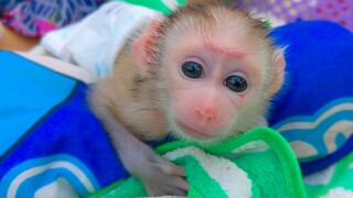 So Refreshing!! Tiny adorable Luca is so handsome after changed a new diaper & drink milk