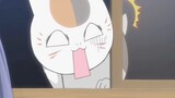 When the cat teacher came home only to find that Natsume already had another kitten?