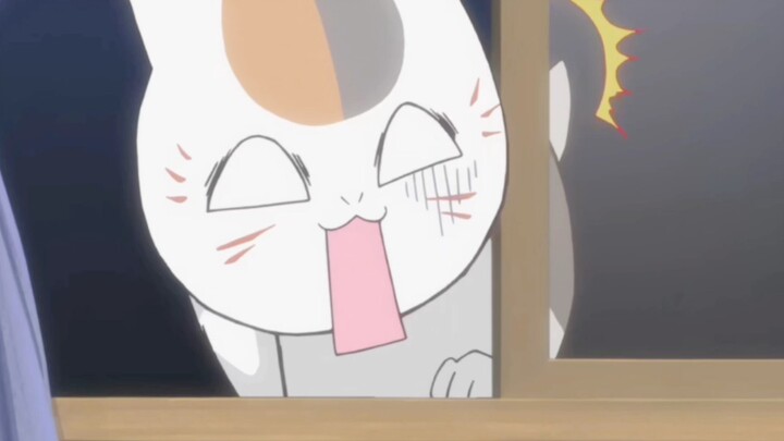 When the cat teacher came home only to find that Natsume already had another kitten?