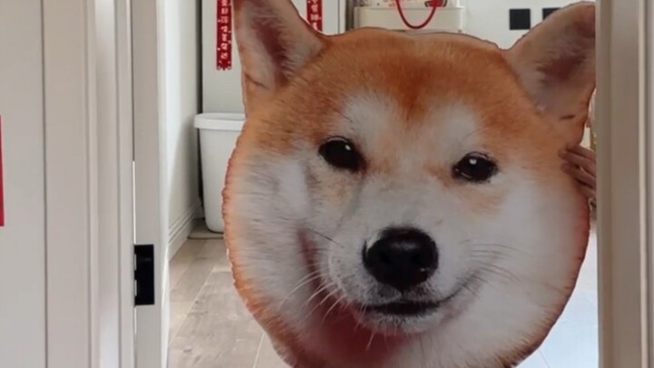 Print a photo of your dog and enlarge it ten times...